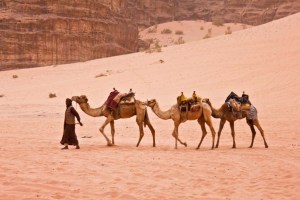 Wadi Rum Camel Ride